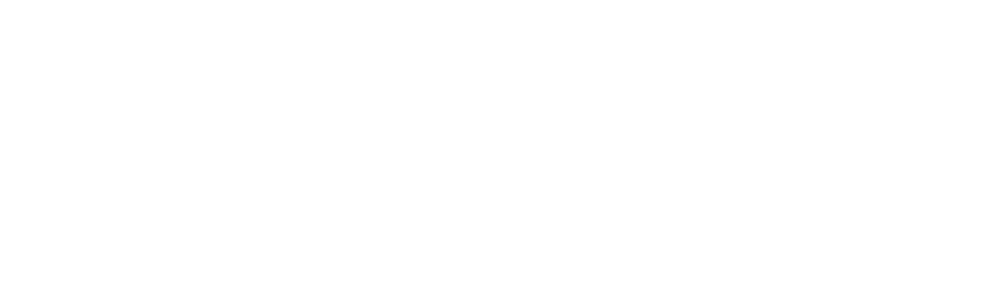 石モン図鑑